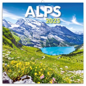 Lemeznaptr Alps 2024, 30  30 cm (naptr)