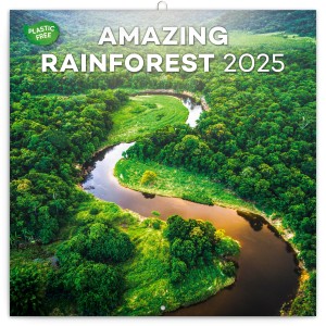 Lemeznaptr Amazing Rainforest 2025, 30 x 30 cm (naptr)