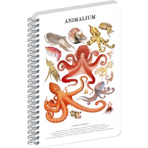 Spir�los Notesz Animalium ? Cephalopods, lined, A5