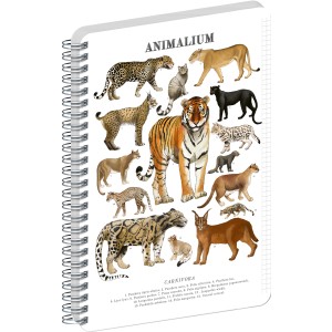 Spir�los Notesz Animalium ? Felines, quad-ruled, A5