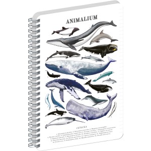 Spir�los Notesz Animalium ? Marine Life, lined, A5